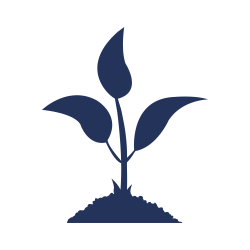 Agriculture Agriculture